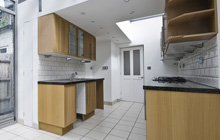 Greendykes kitchen extension leads
